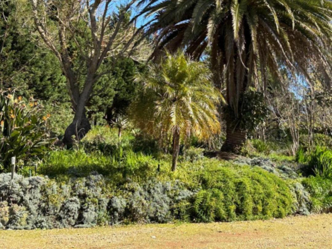Madajo Villa Stellenbosch Exterior foto